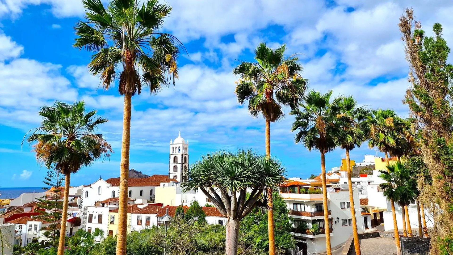 Cozy Izan Drago Apartment In Icod De Los Vinos By Hrtenerife Net
