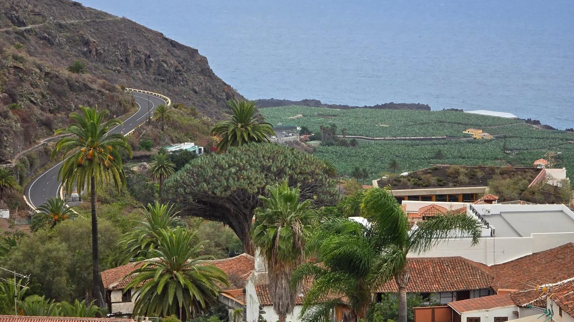 Cozy Izan Drago Apartment In Icod De Los Vinos By Hrtenerife Net