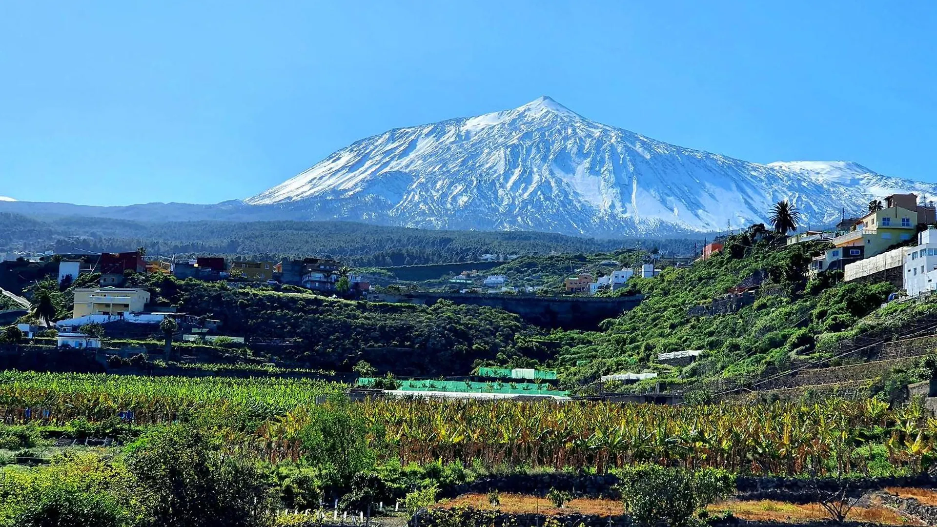 Cozy Izan Drago Apartment In Icod De Los Vinos By Hrtenerife Net 0*,  España