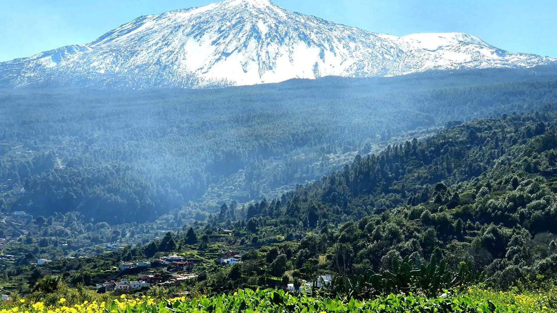 Cozy Izan Drago Apartment In Icod De Los Vinos By Hrtenerife Net
