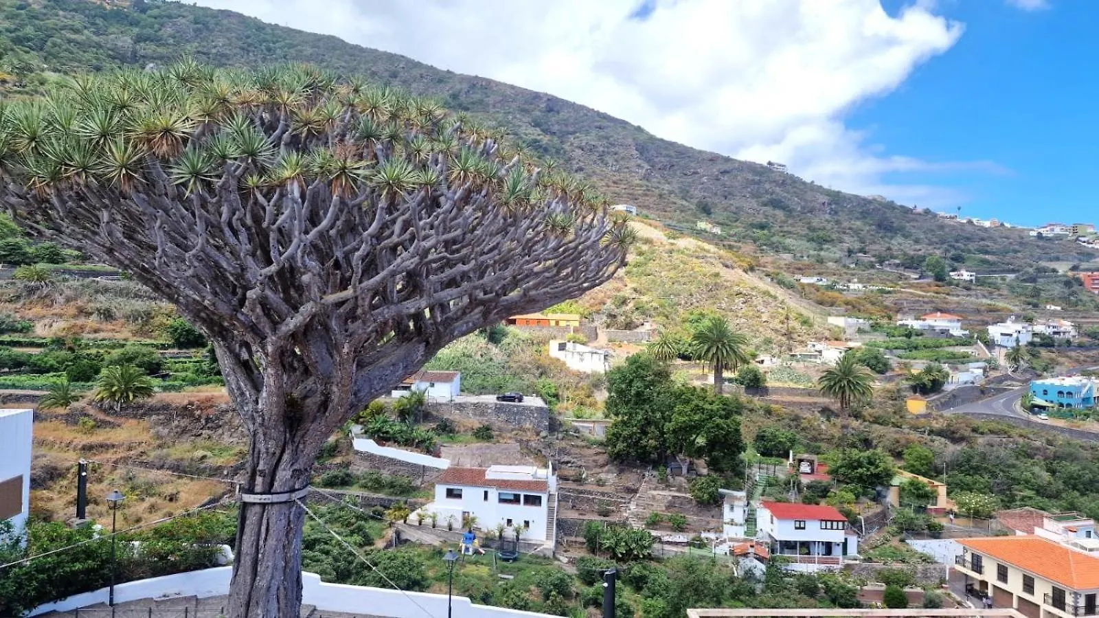 Cozy Izan Drago Apartment In Icod De Los Vinos By Hrtenerife Net